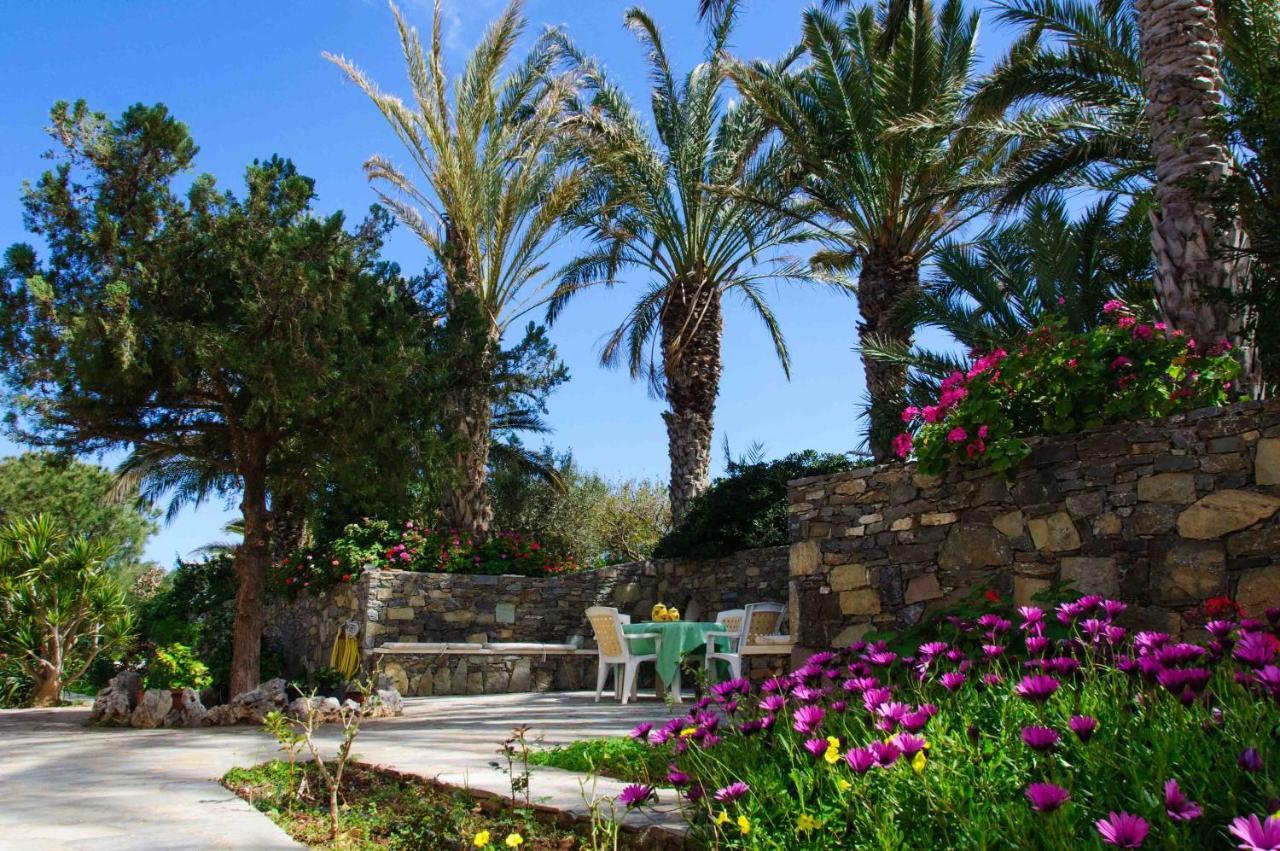 Апартаменты Carissa House In Crete Сития Экстерьер фото